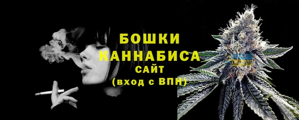 СК Касимов