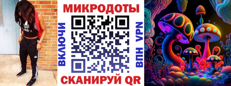 mega   Советск  Галлюциногенные грибы Cubensis 