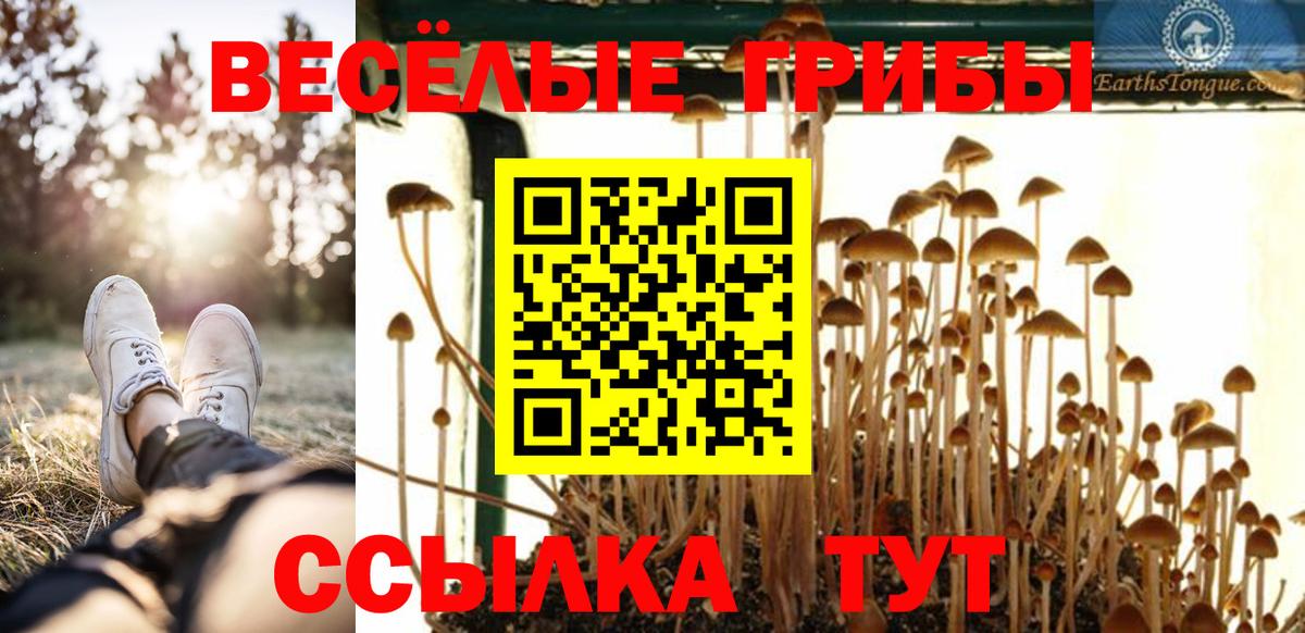 Галлюциногенные грибы MAGIC MUSHROOMS Советск