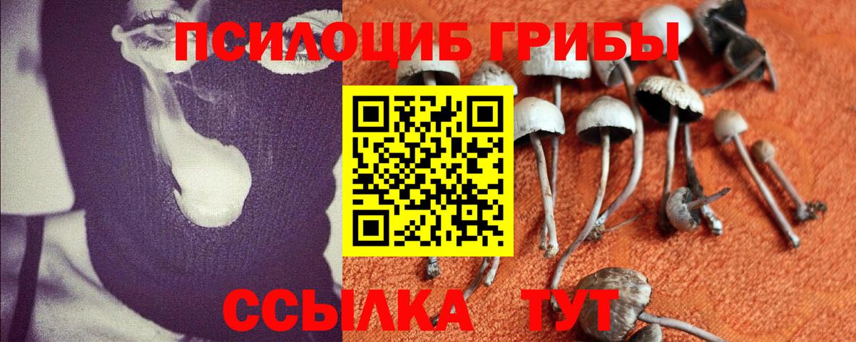 где купить   Вход с VPN  Советск  Псилоцибиновые грибы Magic Shrooms  Галлюциногенные грибы Cubensis 